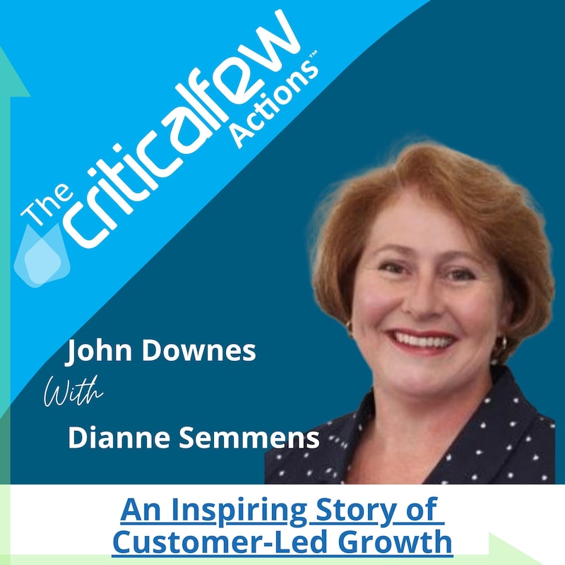 Artwork for podcast The Critical Few Actions