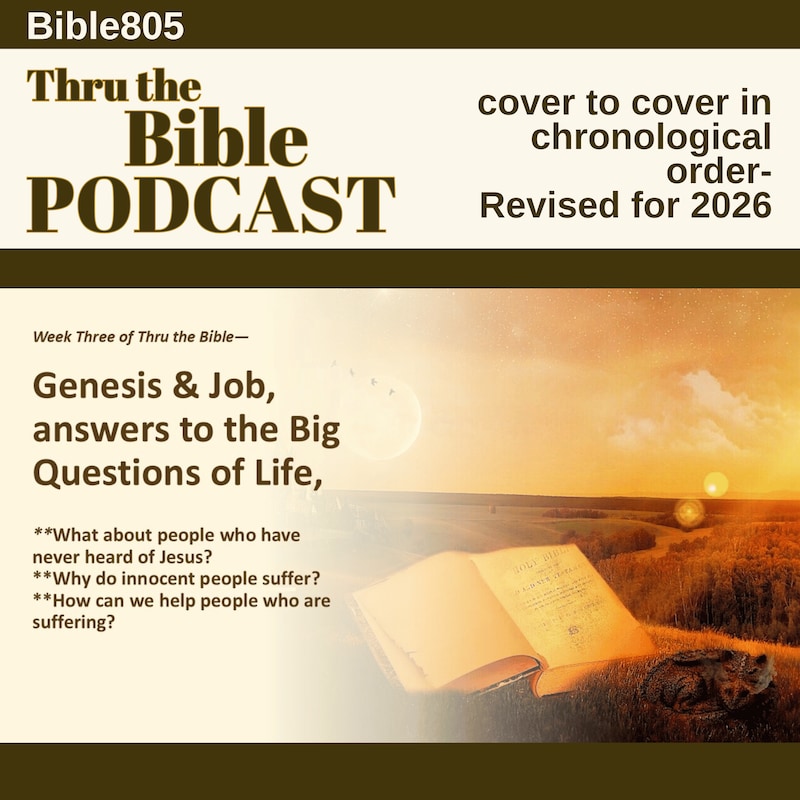 Artwork for podcast Thru the Bible, cover to cover in chronological order