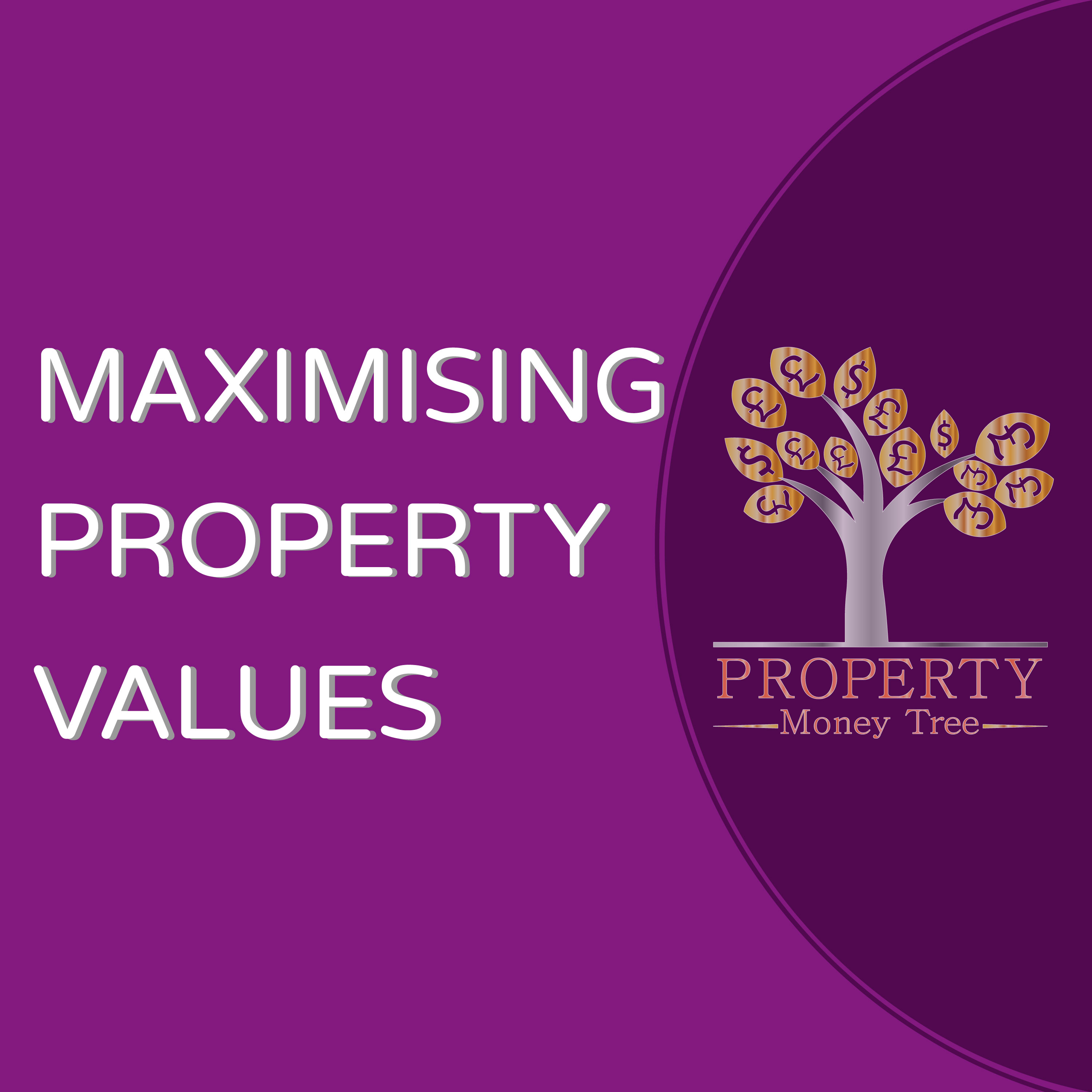 Artwork for Maximising Property Values