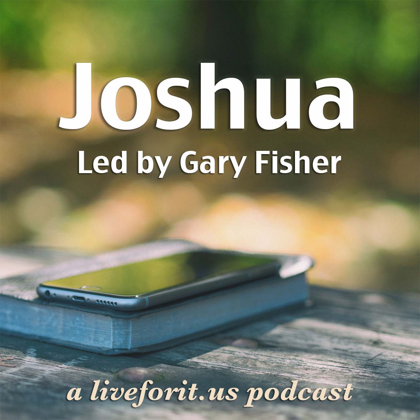 Artwork for podcast Liveforit Joshua Study