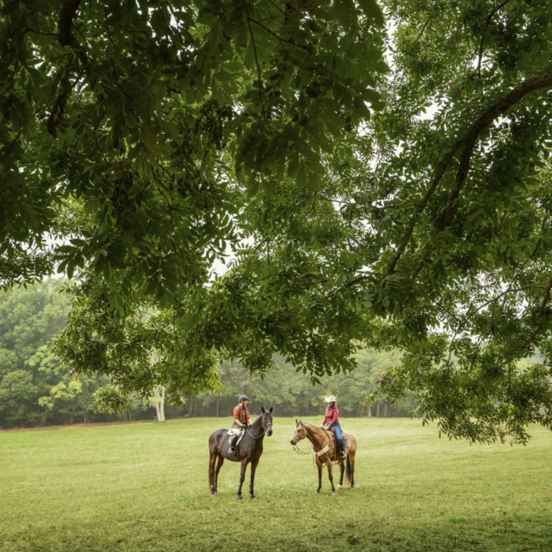 Artwork for podcast Heels Down Happy Hour