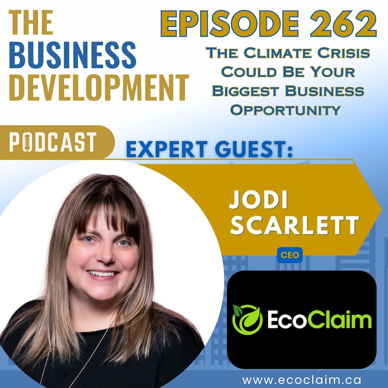 Artwork for podcast The Business Development Podcast