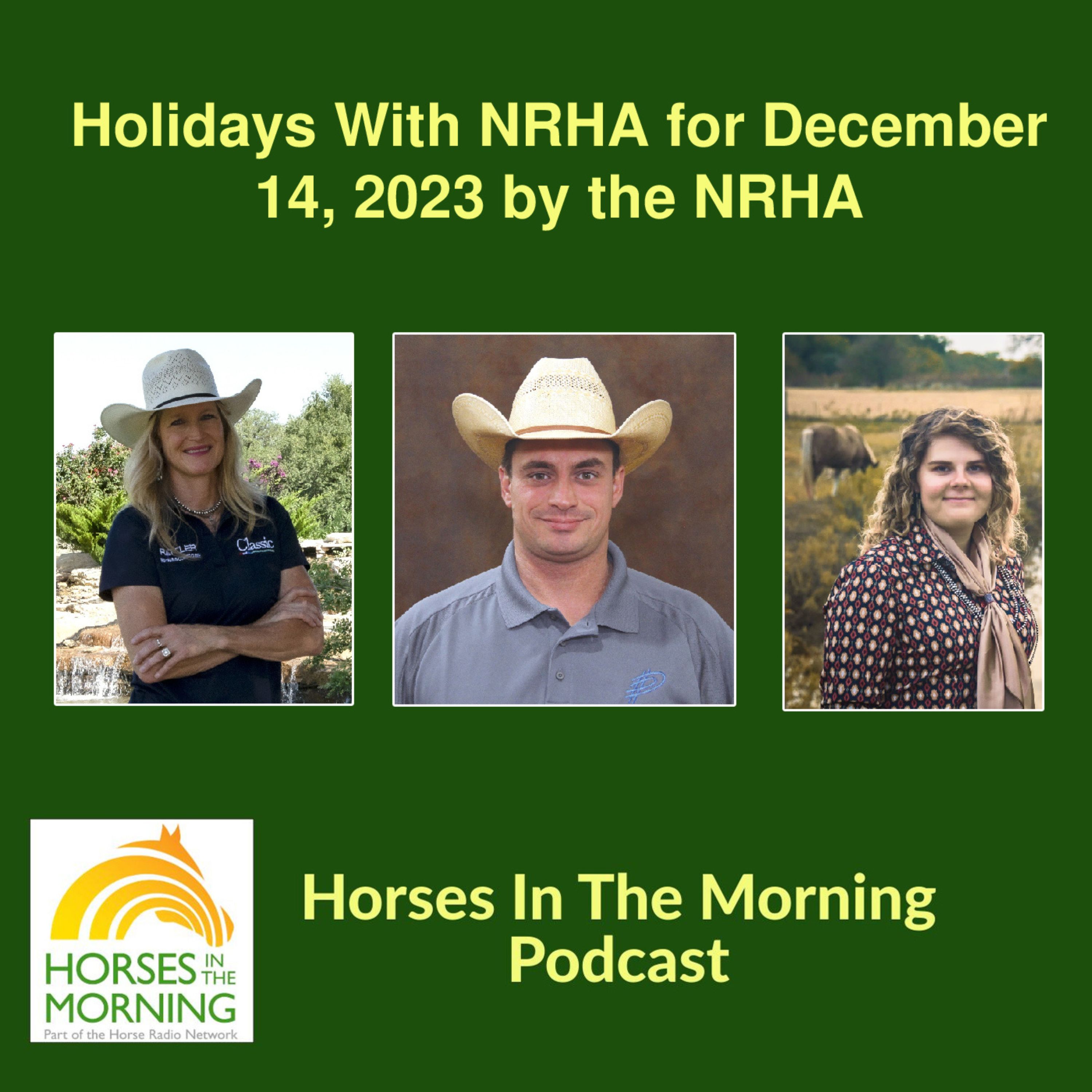 HRN Auditor Podcast