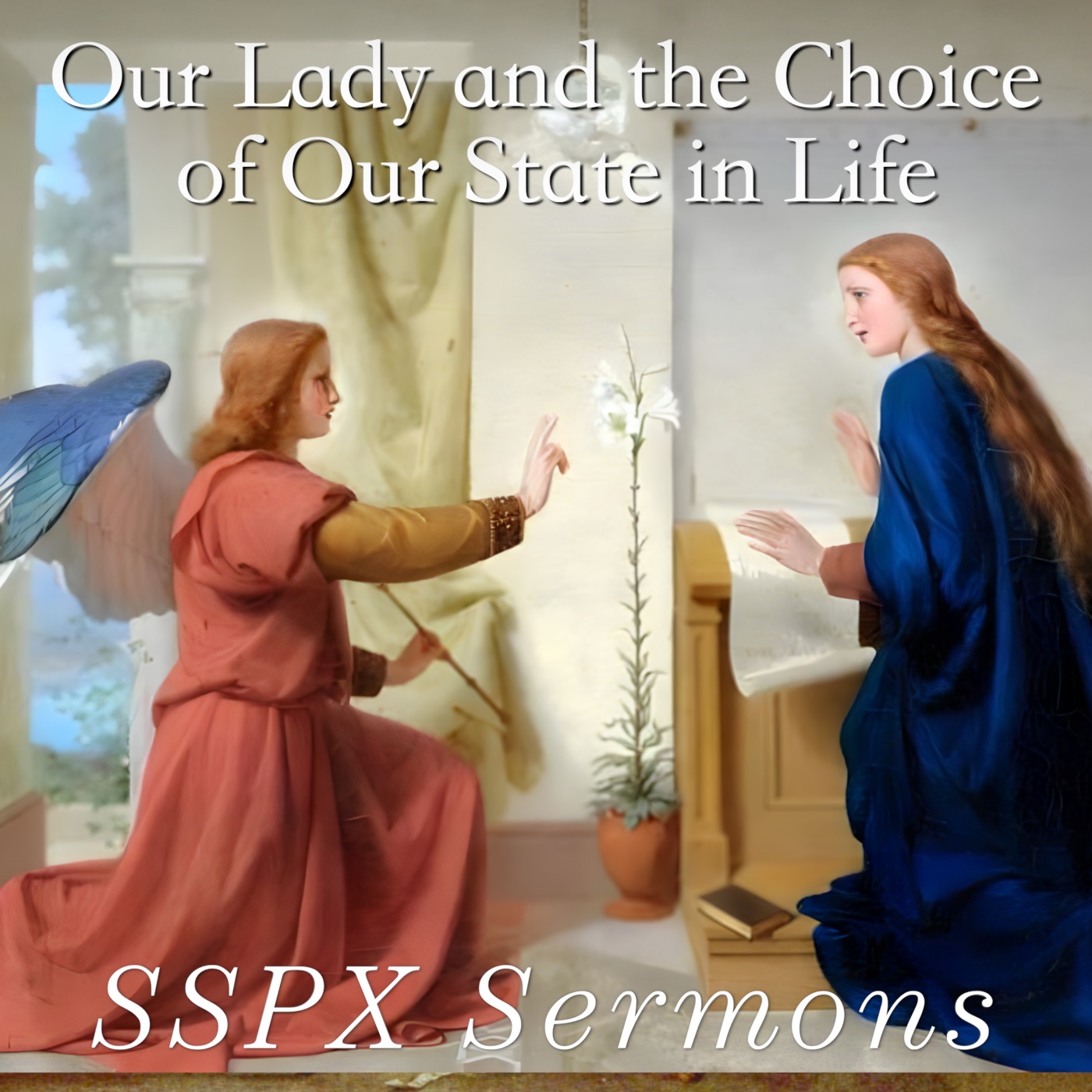 Our Lady and the Choice of Our State in Life - SSPX Sermons