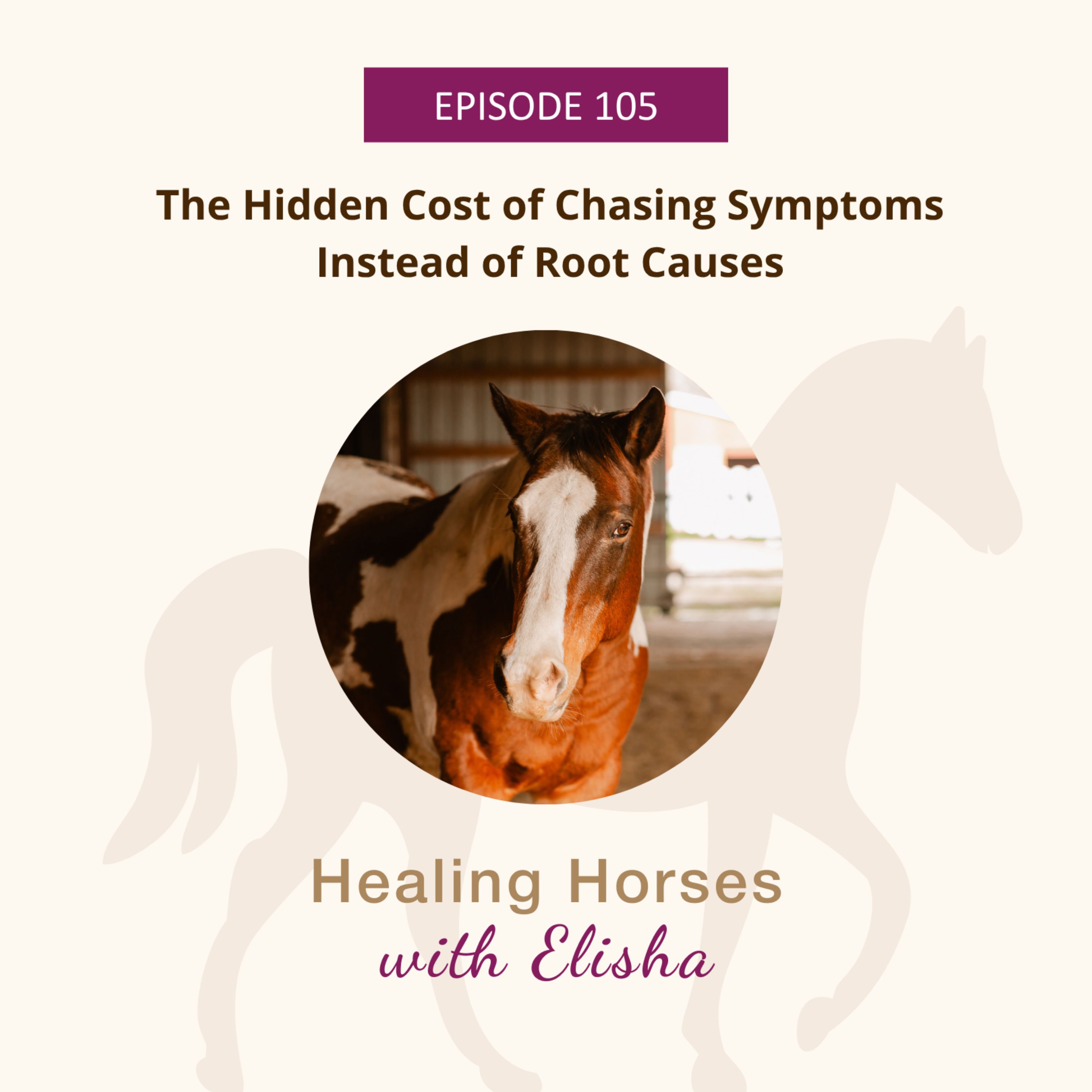 105: The Hidden Cost of Chasing Symptoms Instead of Root Causes episode artwork
