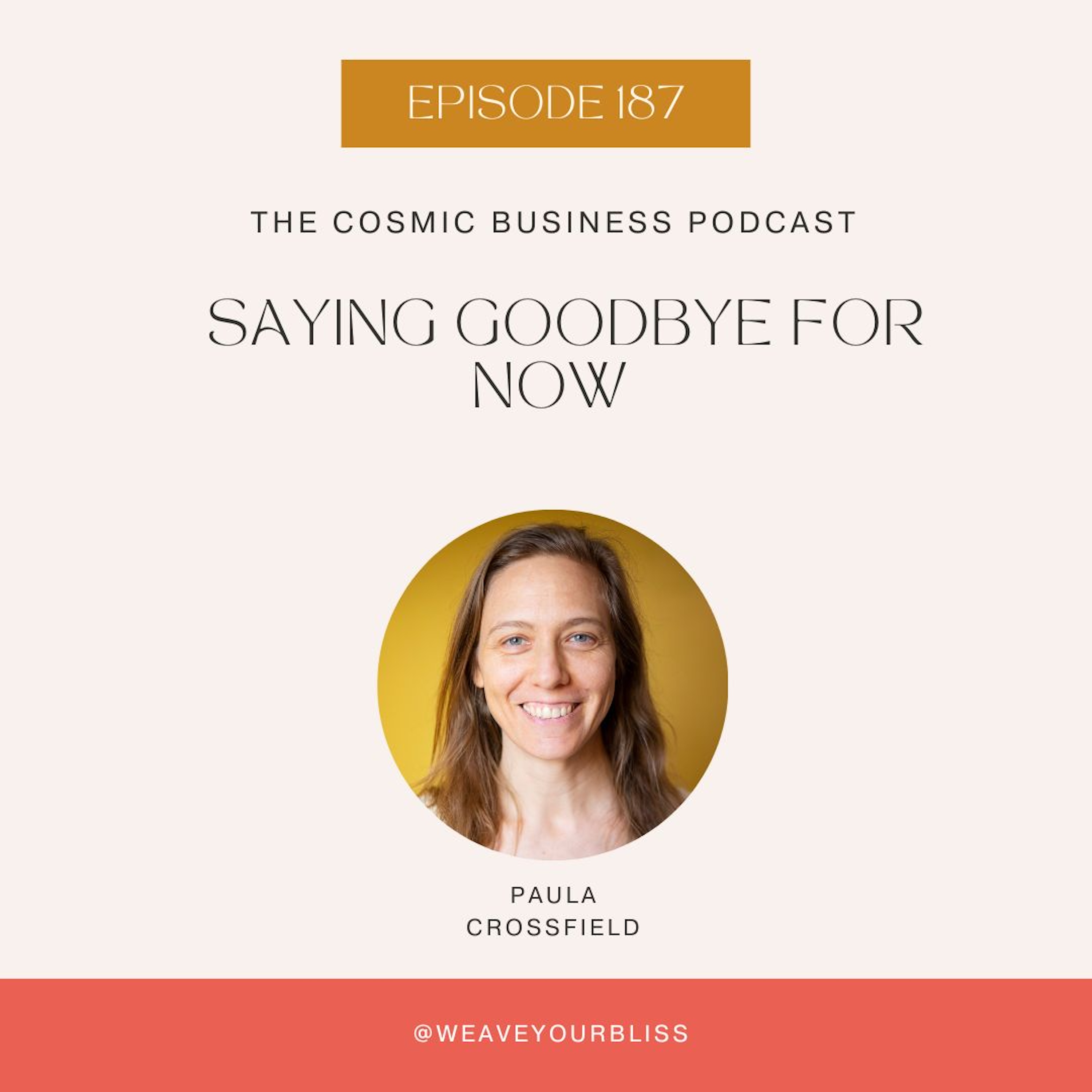 The Cosmic Business Podcast