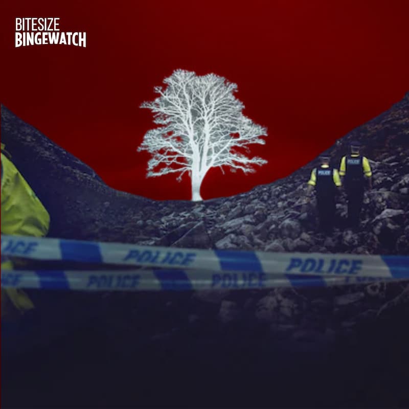 Artwork for podcast Bitesize Bingewatch