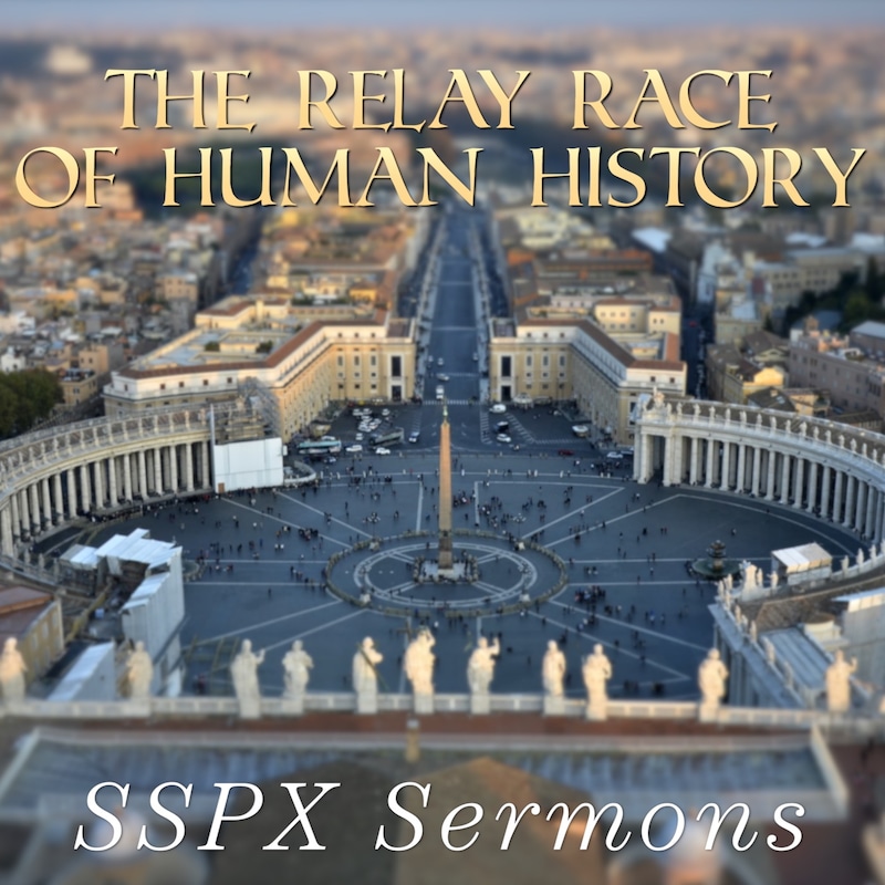 Artwork for podcast SSPX Sermons