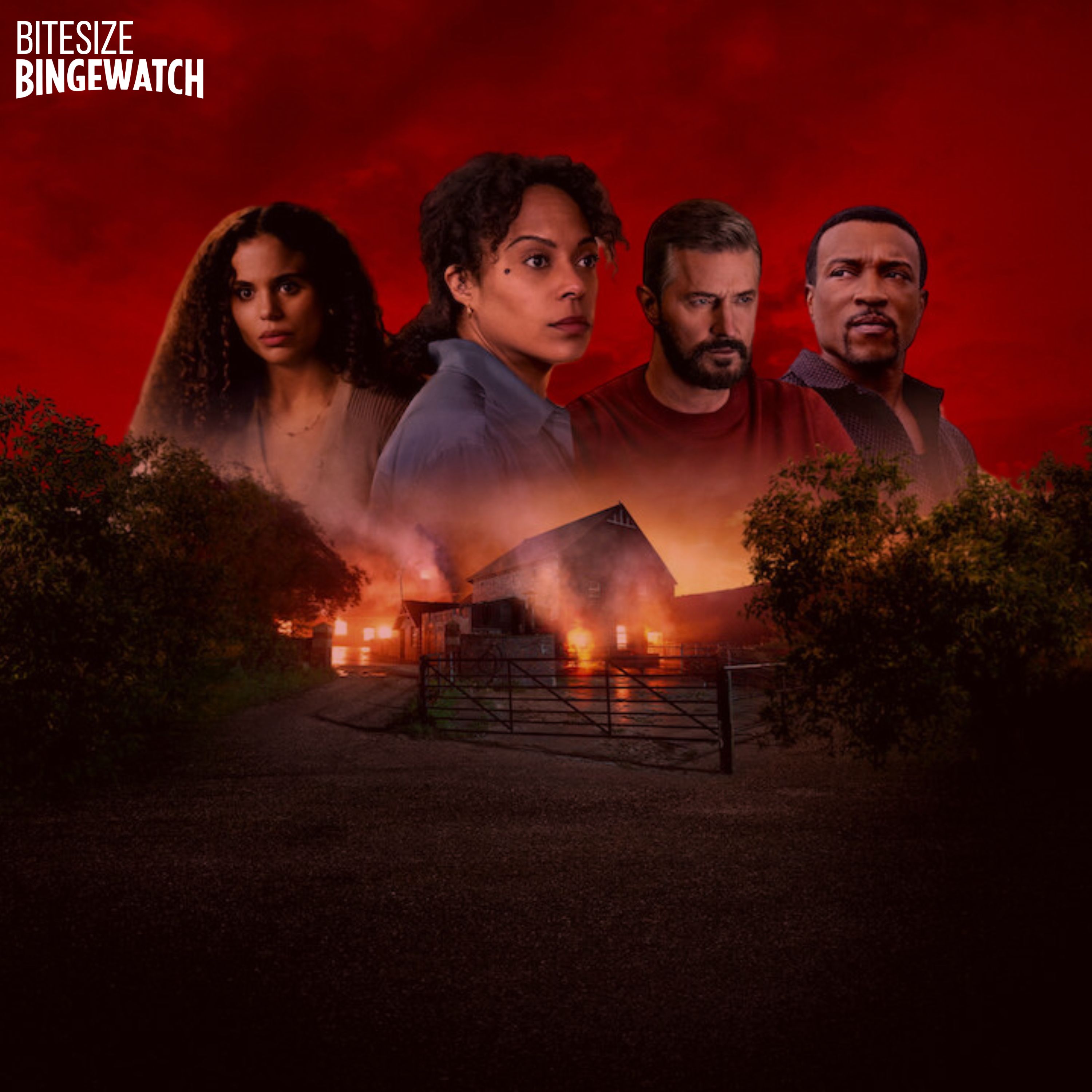 Bitesize Bingewatch