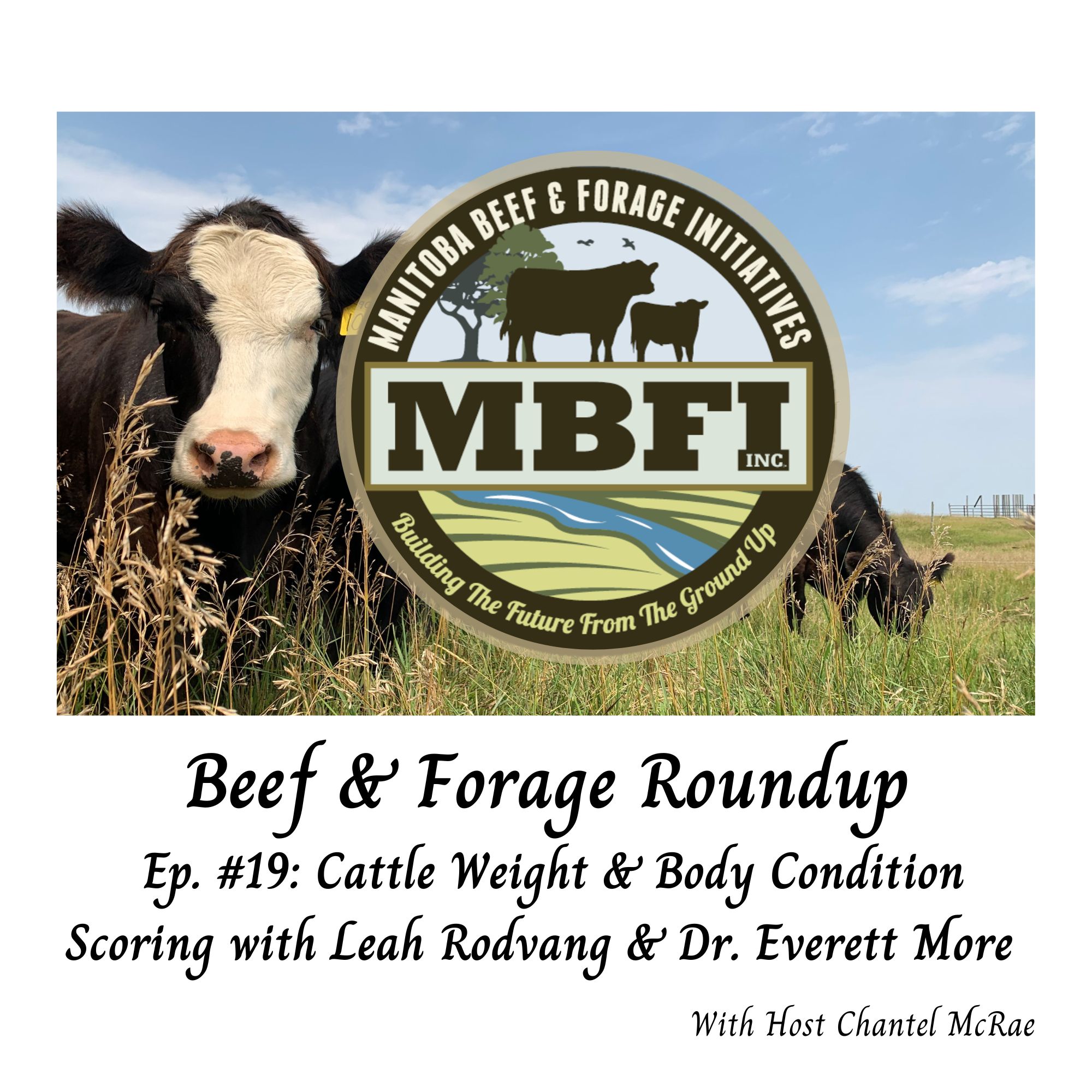 Beef and Forage Roundup