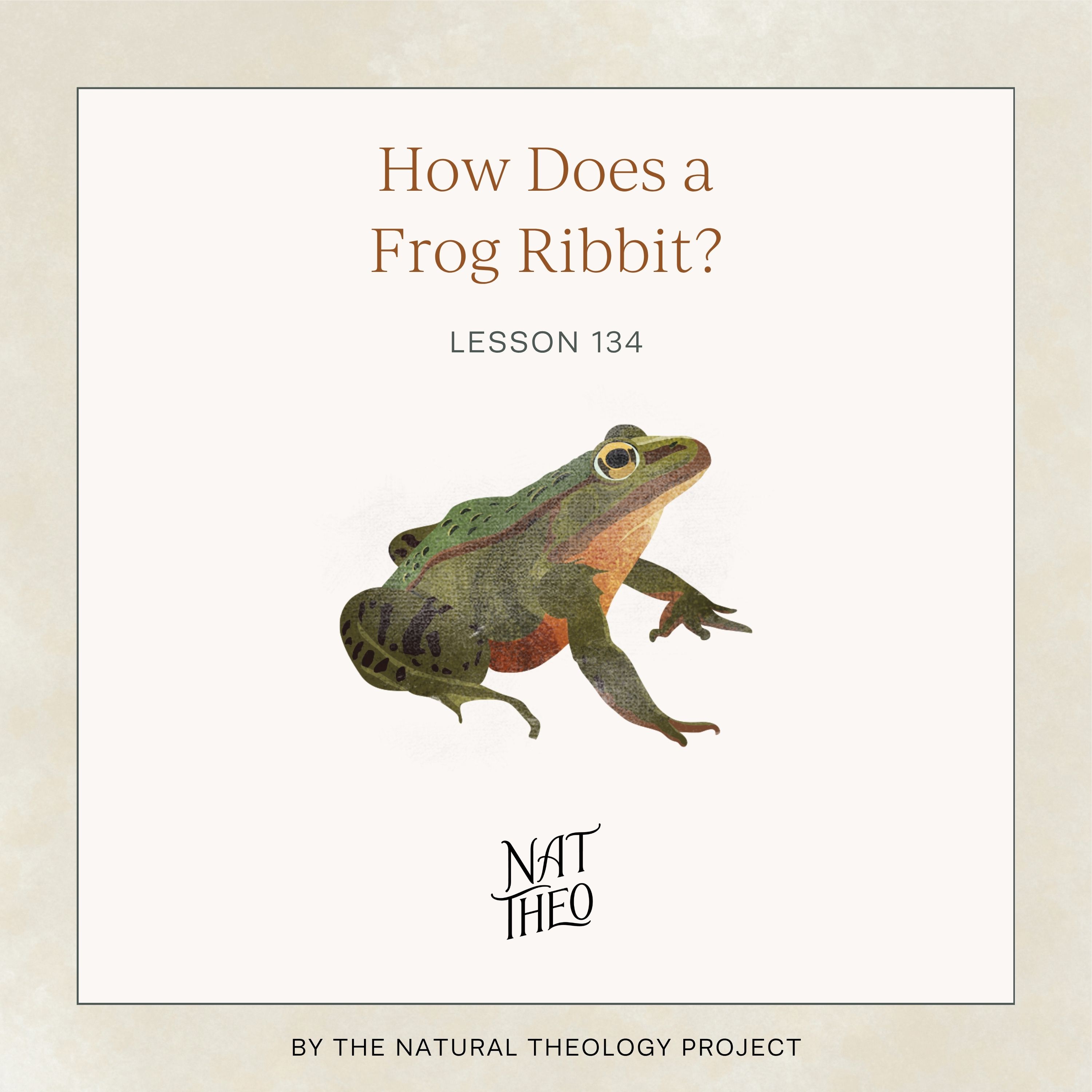 How Does a Frog Ribbit? Lesson 134 episode artwork