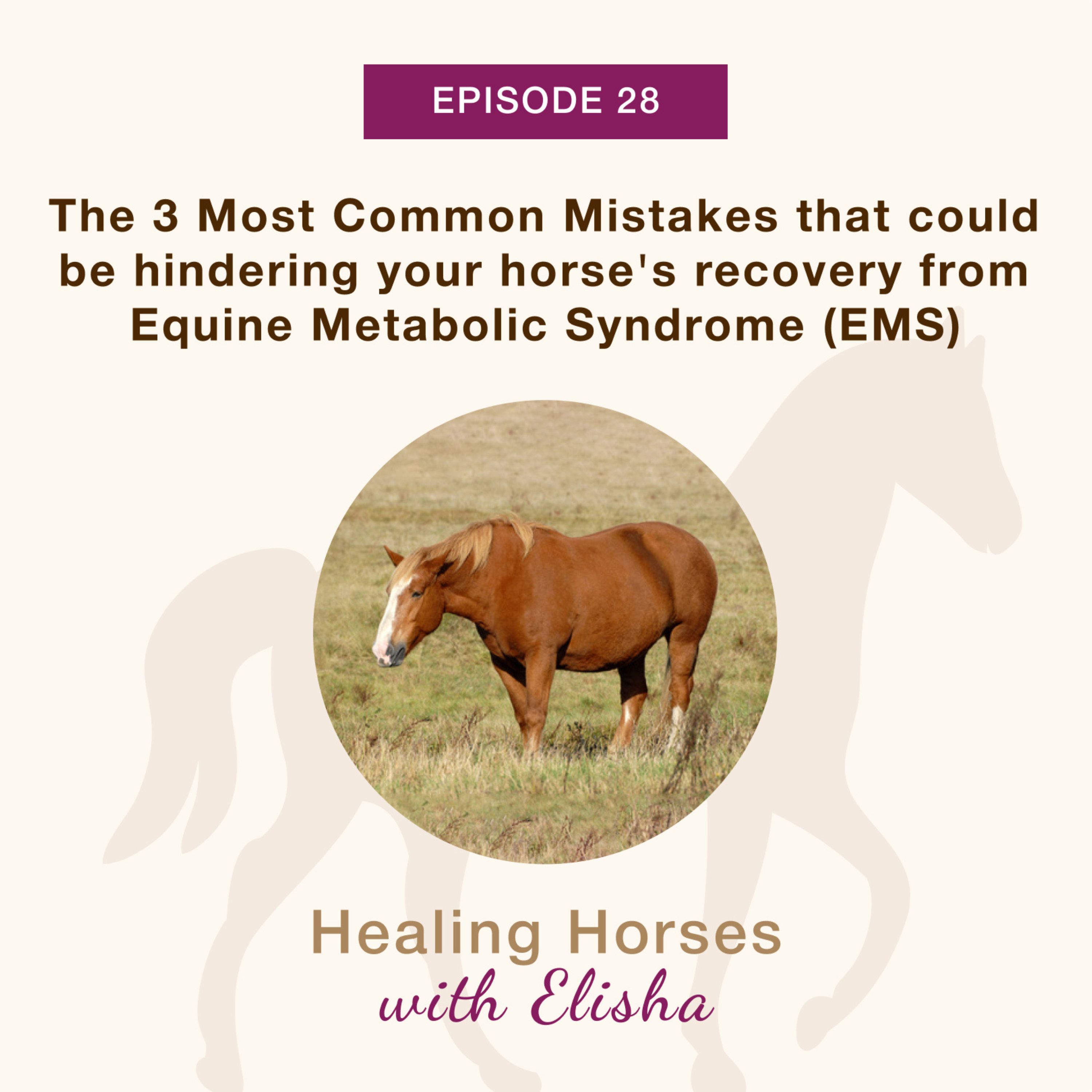 28: The 3 Most Common Mistakes that could be hindering your horse’s recovery from Equine Metabolic Syndrome (EMS)