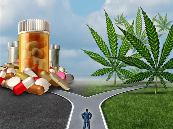 The Choice Is YOURS! Medical Cannabis Or Prescription Opioids episode artwork
