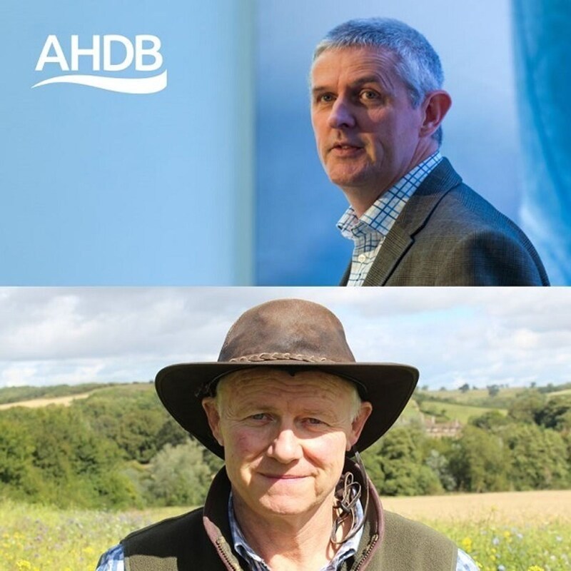 Artwork for podcast AHDB Food & Farming
