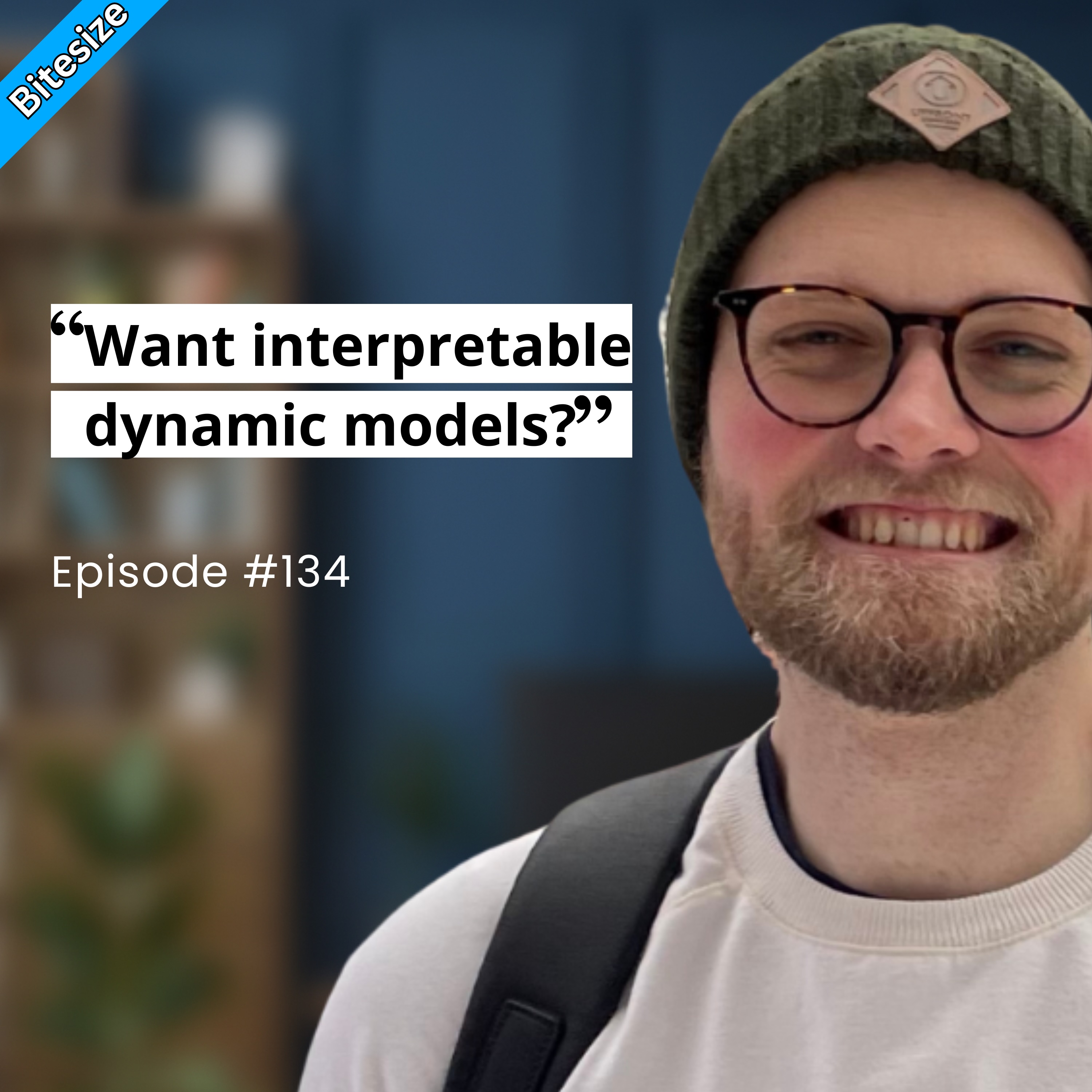 BITESIZE | Exploring Dynamic Regression Models, with David Kohns