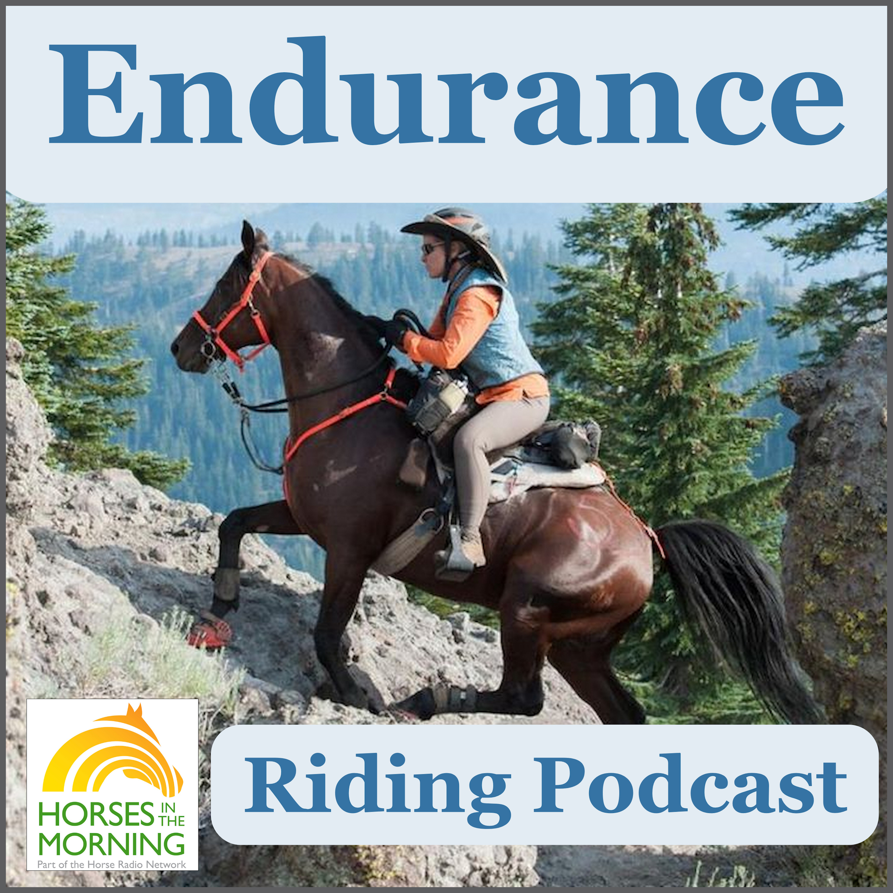 Endurance: Canadian FEI Rides, Arabian Horse Assoc. Distance Horse Nationals, for April 8, 2025 - HORSES IN THE MORNING