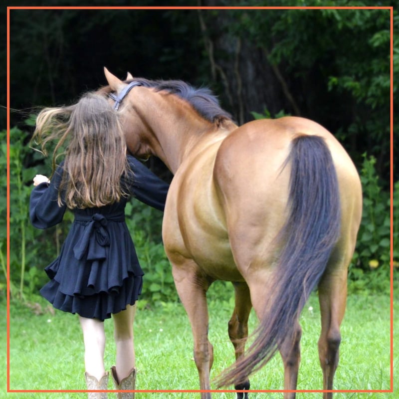 Artwork for podcast Broke Horse Moms