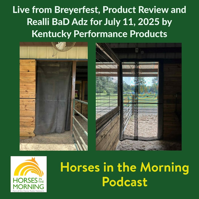Artwork for podcast HORSES IN THE MORNING