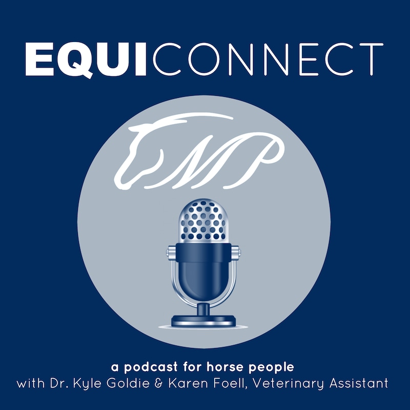Artwork for podcast EquiConnect Equine Podcast