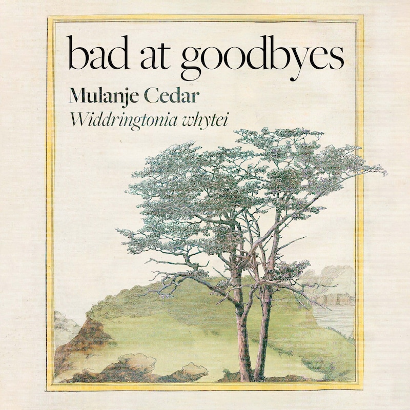 Artwork for podcast Bad at Goodbyes