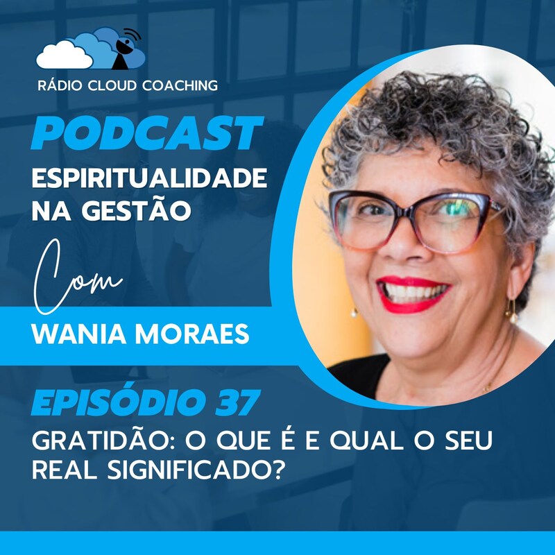 Artwork for podcast A Espiritualidade na Gestão