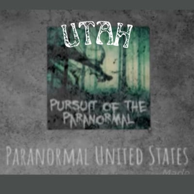 Artwork for podcast Pursuit of the Paranormal