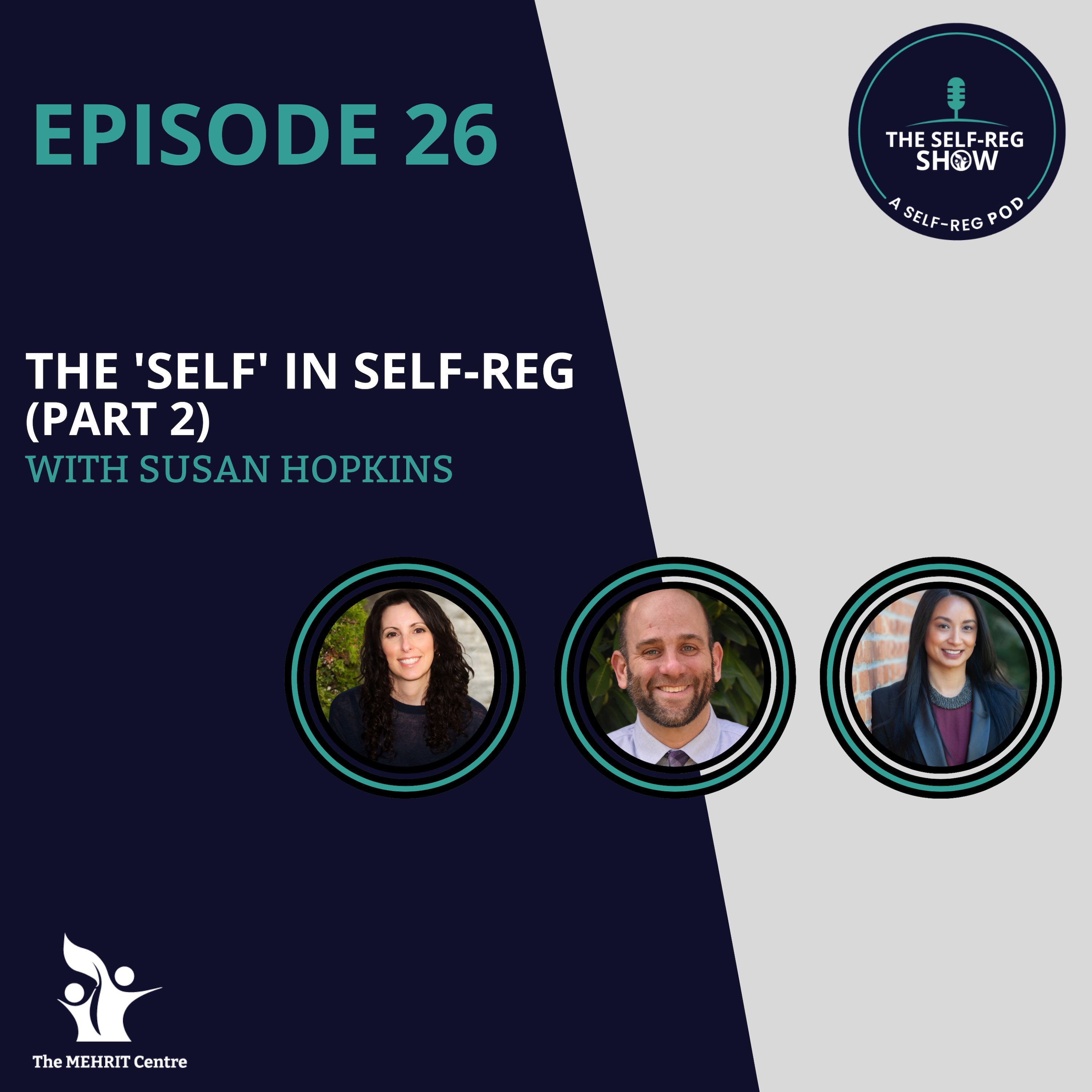 Episode 26: The 'Self' in Self-Reg - Part 2 episode artwork