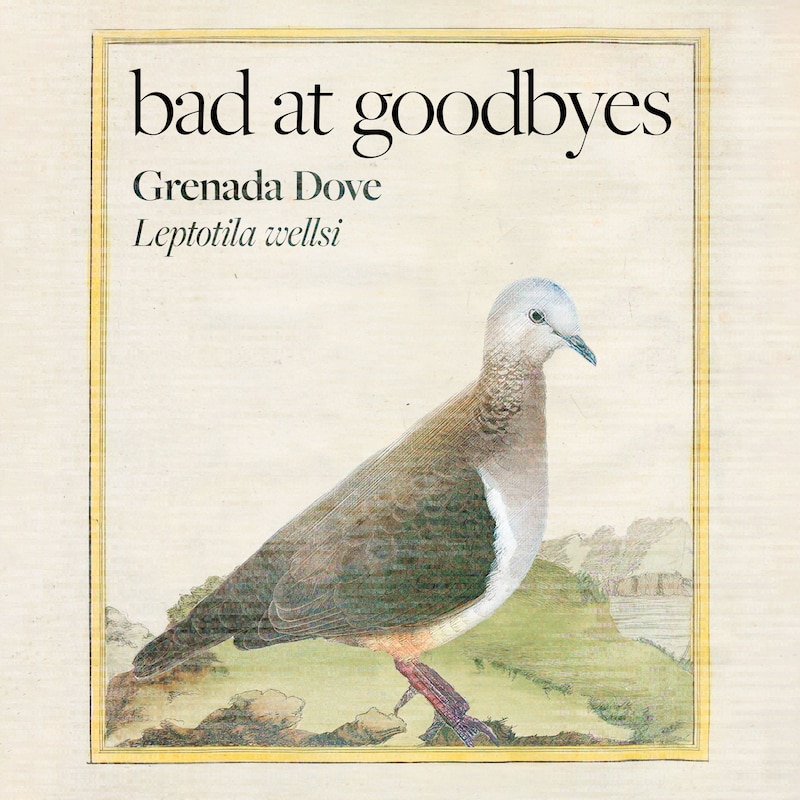 Artwork for podcast Bad at Goodbyes