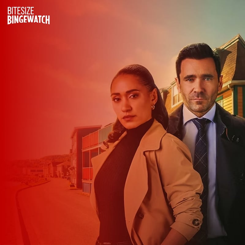 Artwork for podcast Bitesize Bingewatch