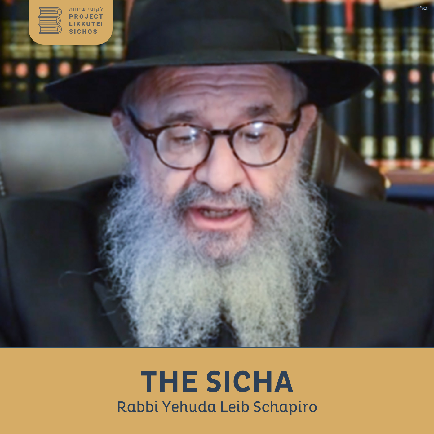 Artwork for podcast The Sicha, Rabbi Yehuda Leib Schapiro