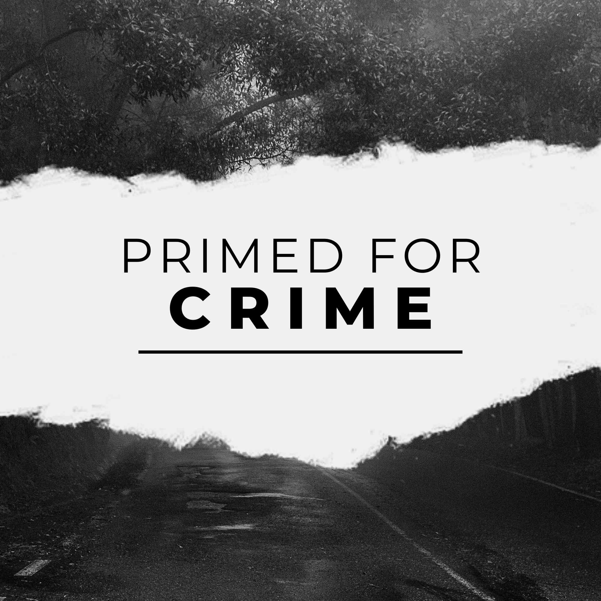 Show artwork for Primed For Crime