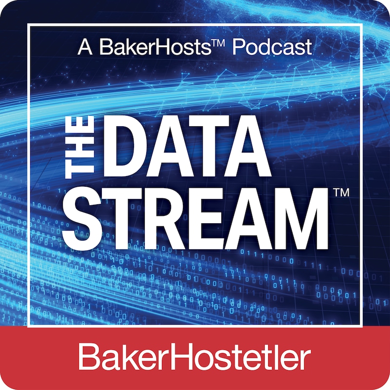 Artwork for podcast BakerHosts