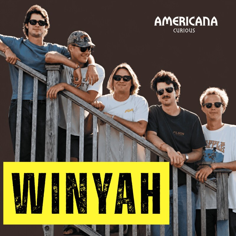 Artwork for podcast Americana Curious