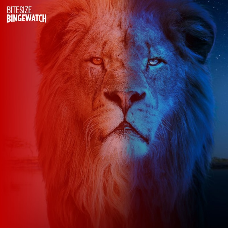 Artwork for podcast Bitesize Bingewatch
