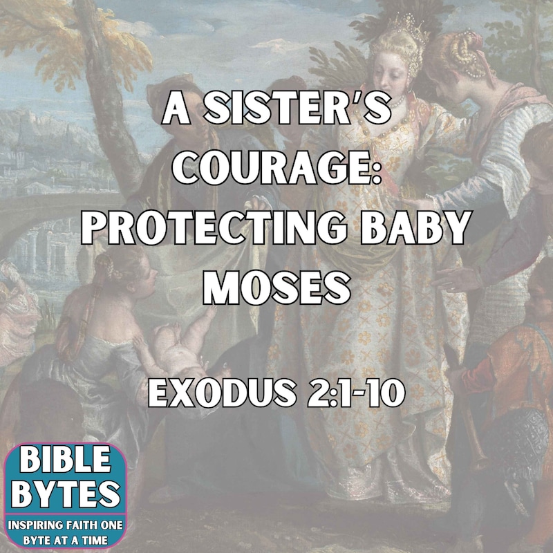 Artwork for podcast Bible Bytes