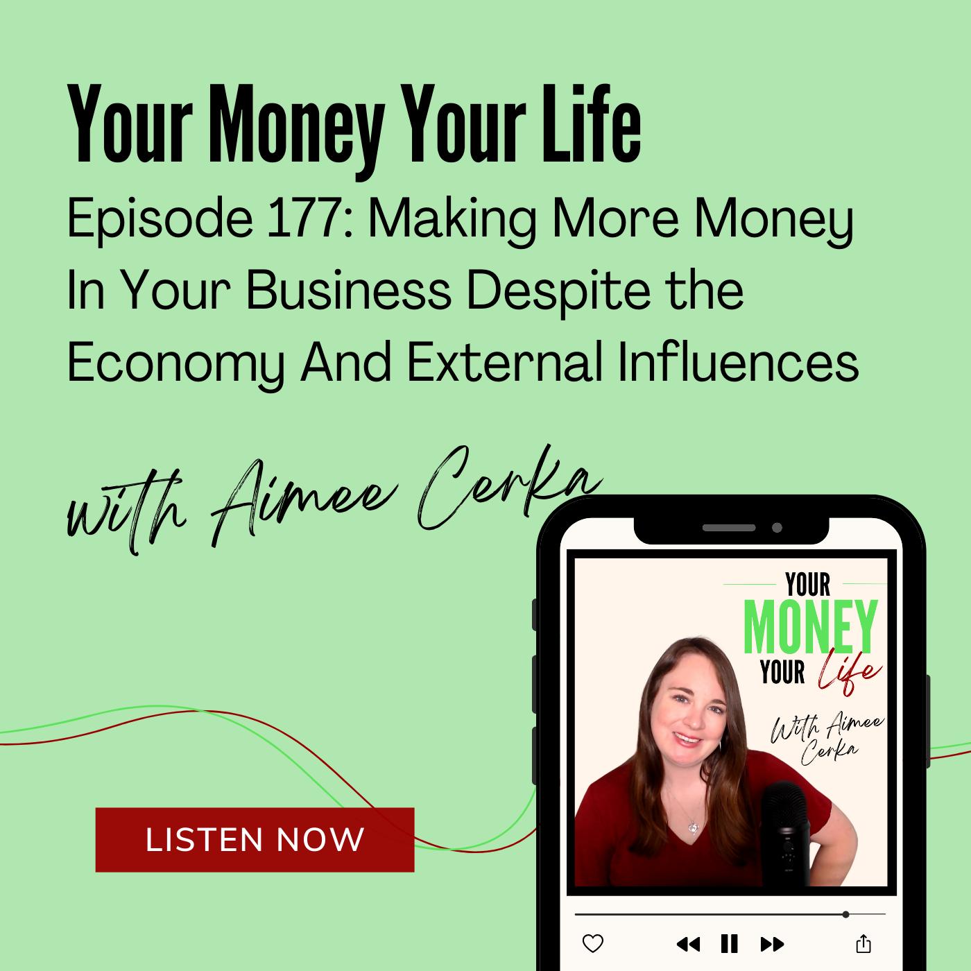 177: Making More Money In Your Business Despite the Economy And External Influences episode artwork
