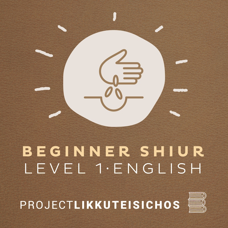 Artwork for podcast Beginner Shiur Level 1