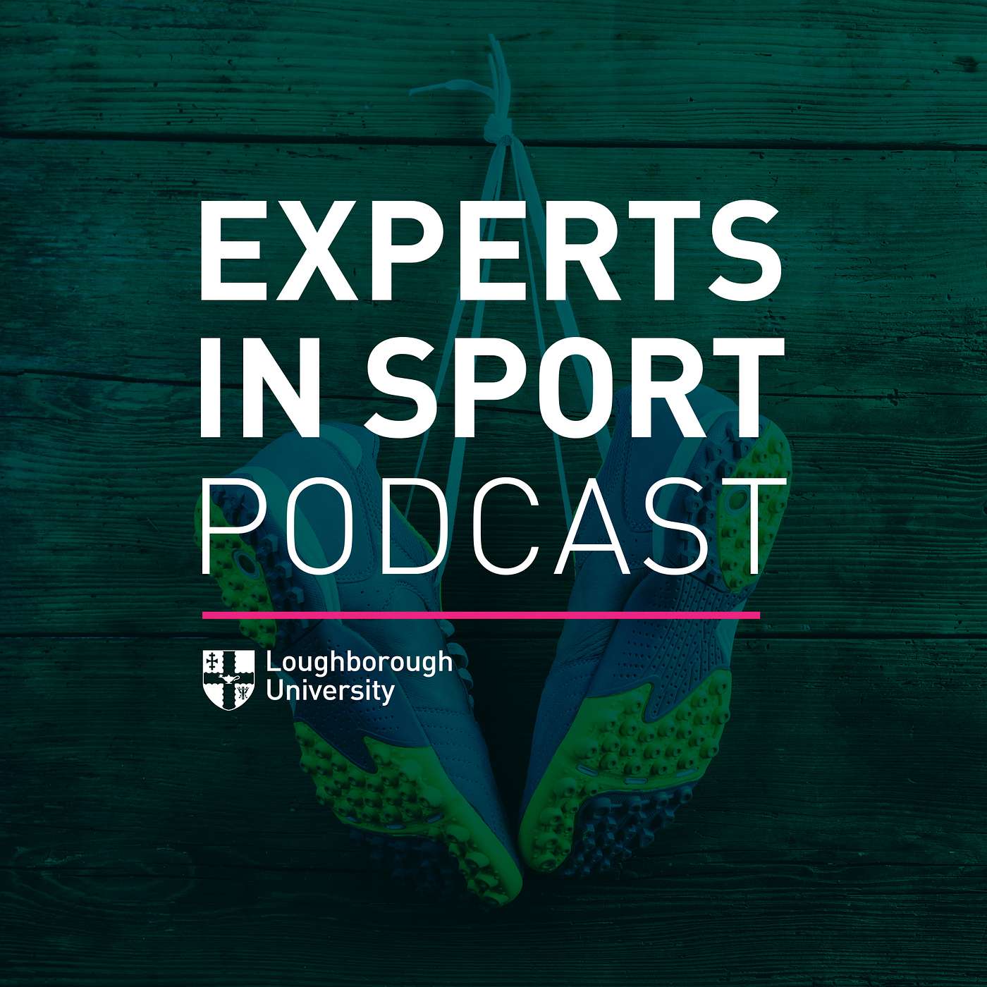 Experts in Sport