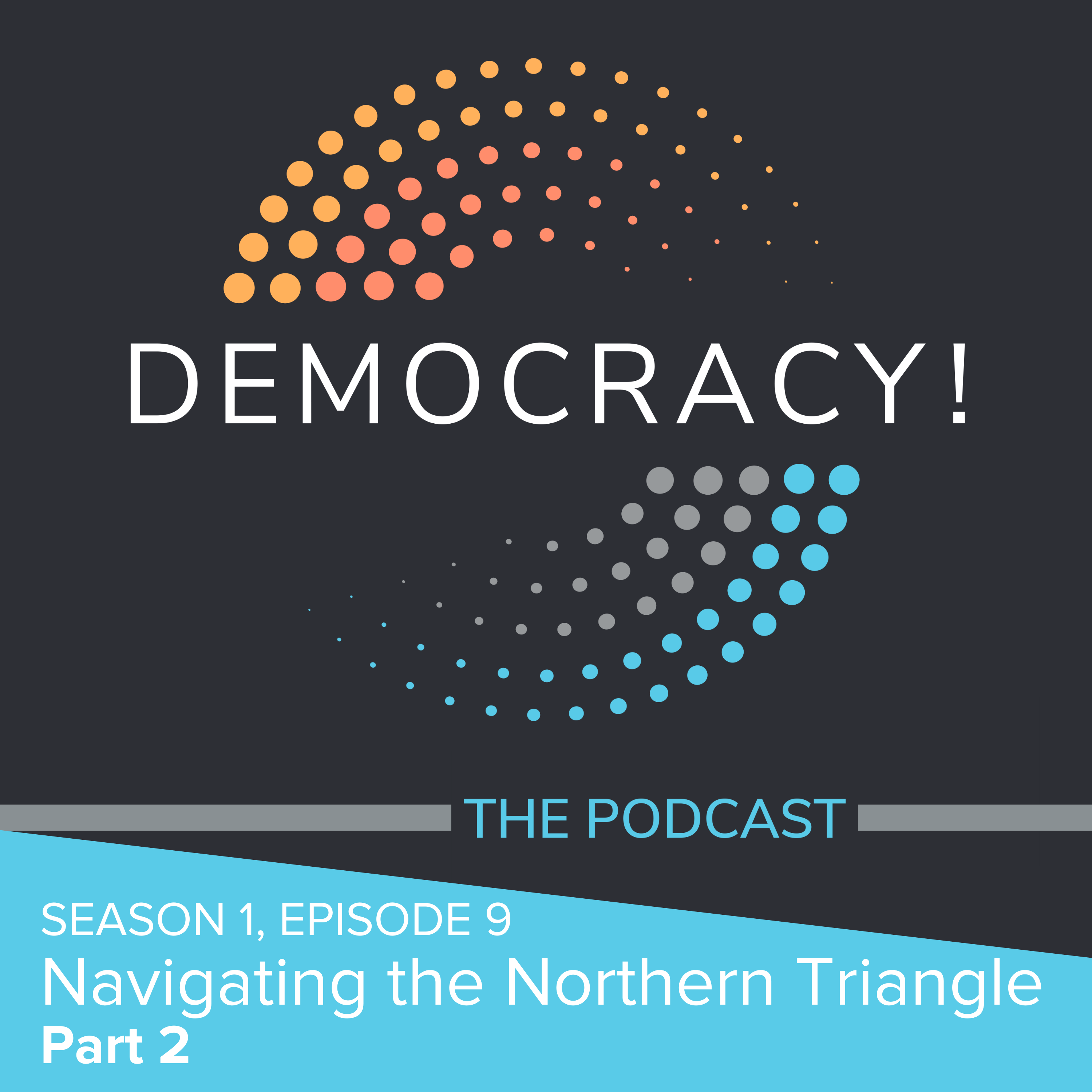 Artwork for podcast Democracy! The Podcast