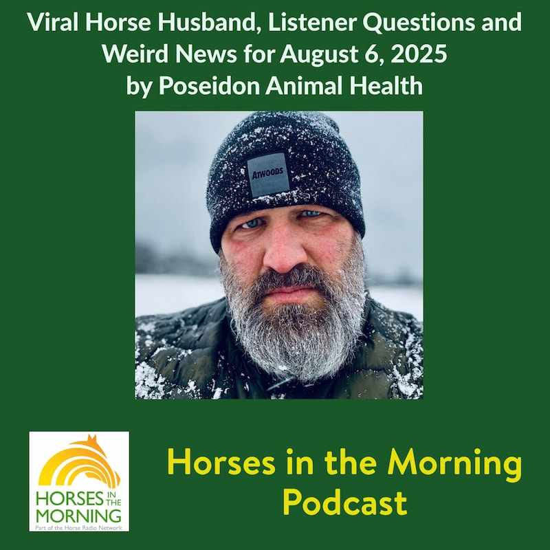 Artwork for podcast HORSES IN THE MORNING