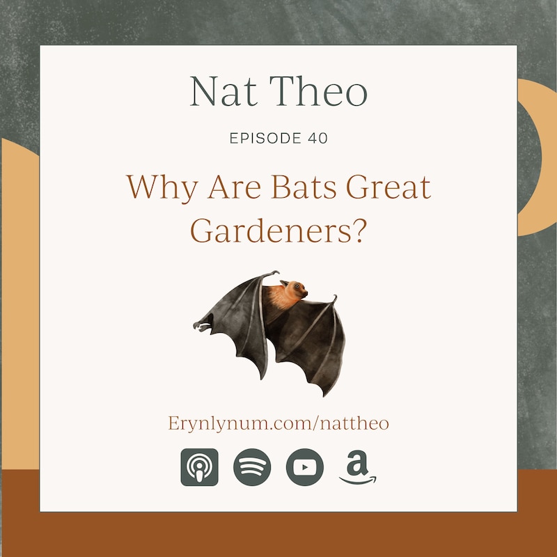 Artwork for podcast Nat Theo Nature Lessons Rooted in the Bible
