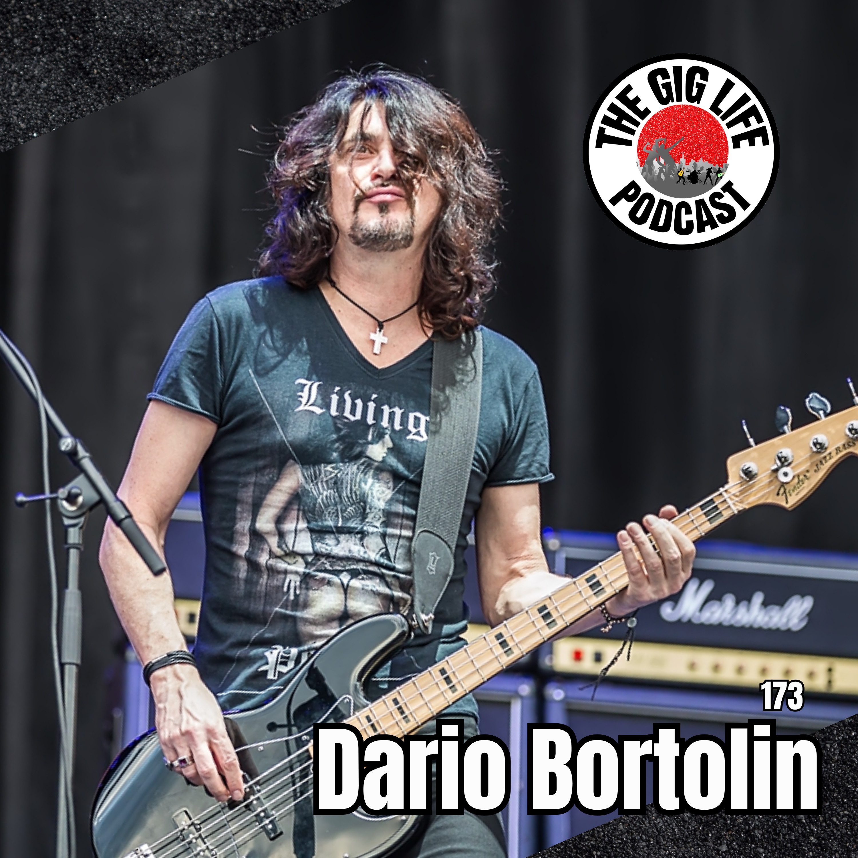 Dario Bortolin