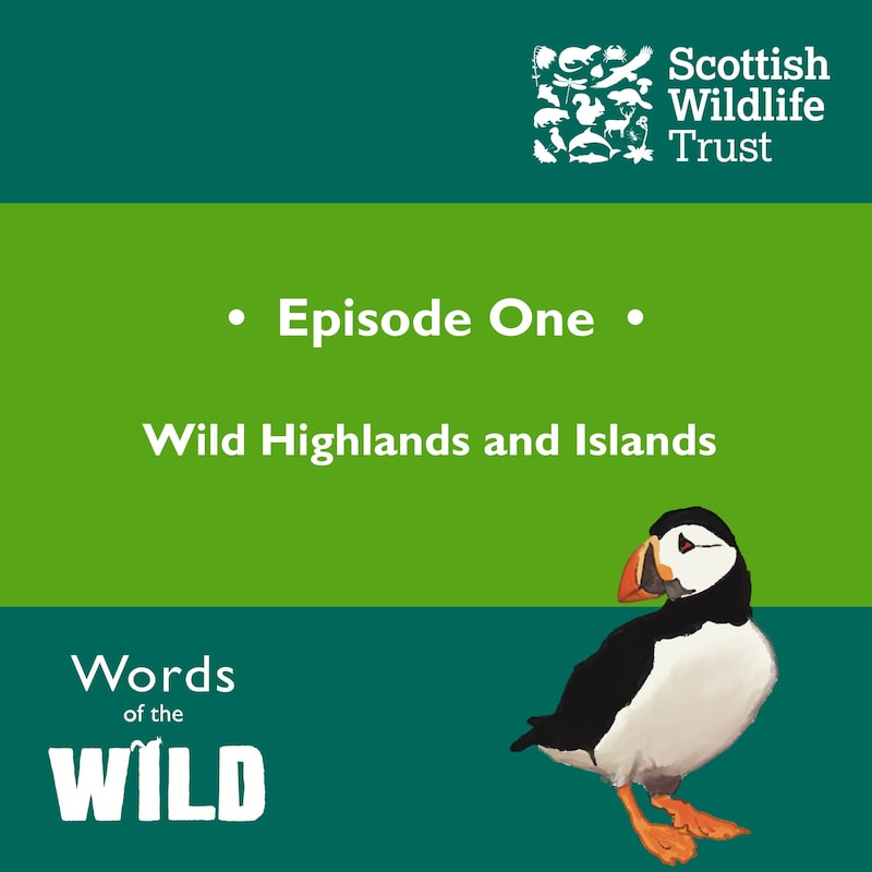 Artwork for podcast Words of the Wild