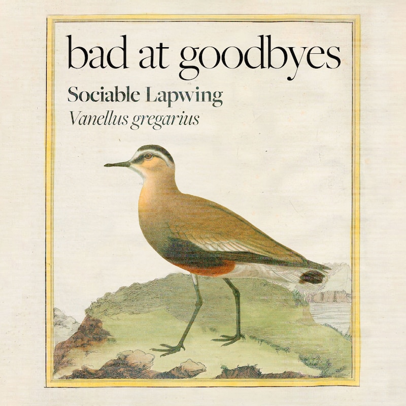Artwork for podcast Bad at Goodbyes