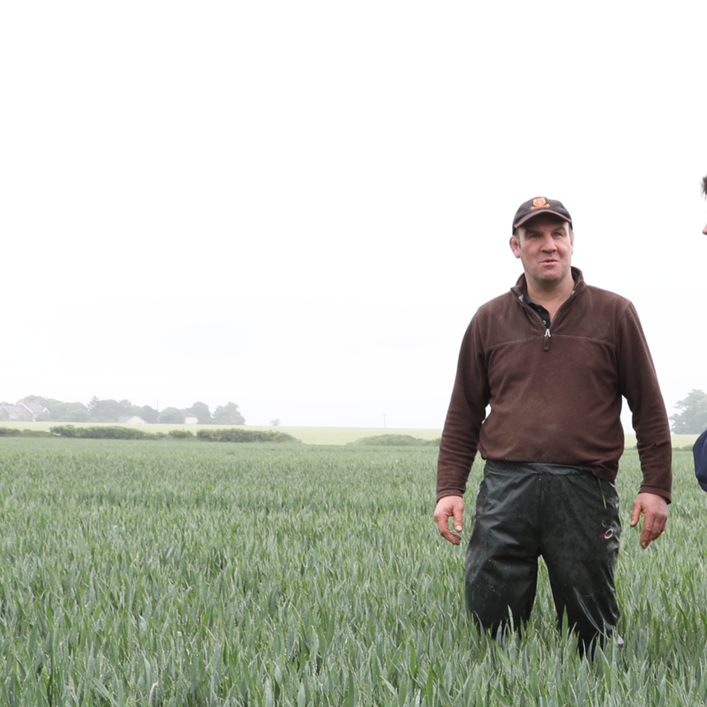 AHDB Food & Farming