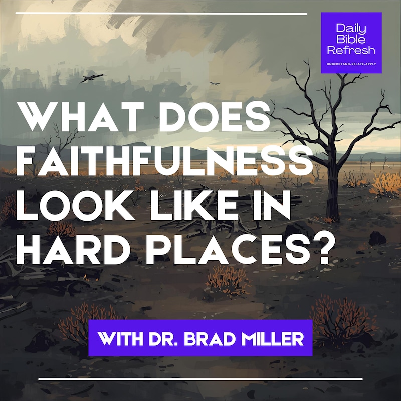 Artwork for podcast Daily Bible Refresh