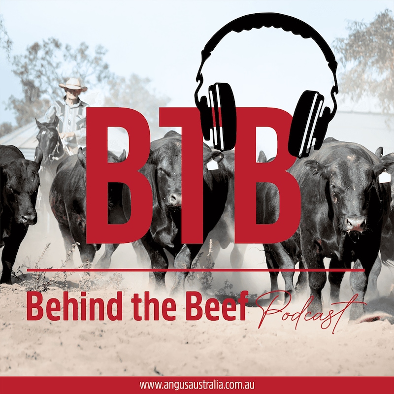 Artwork for podcast The Angus Table