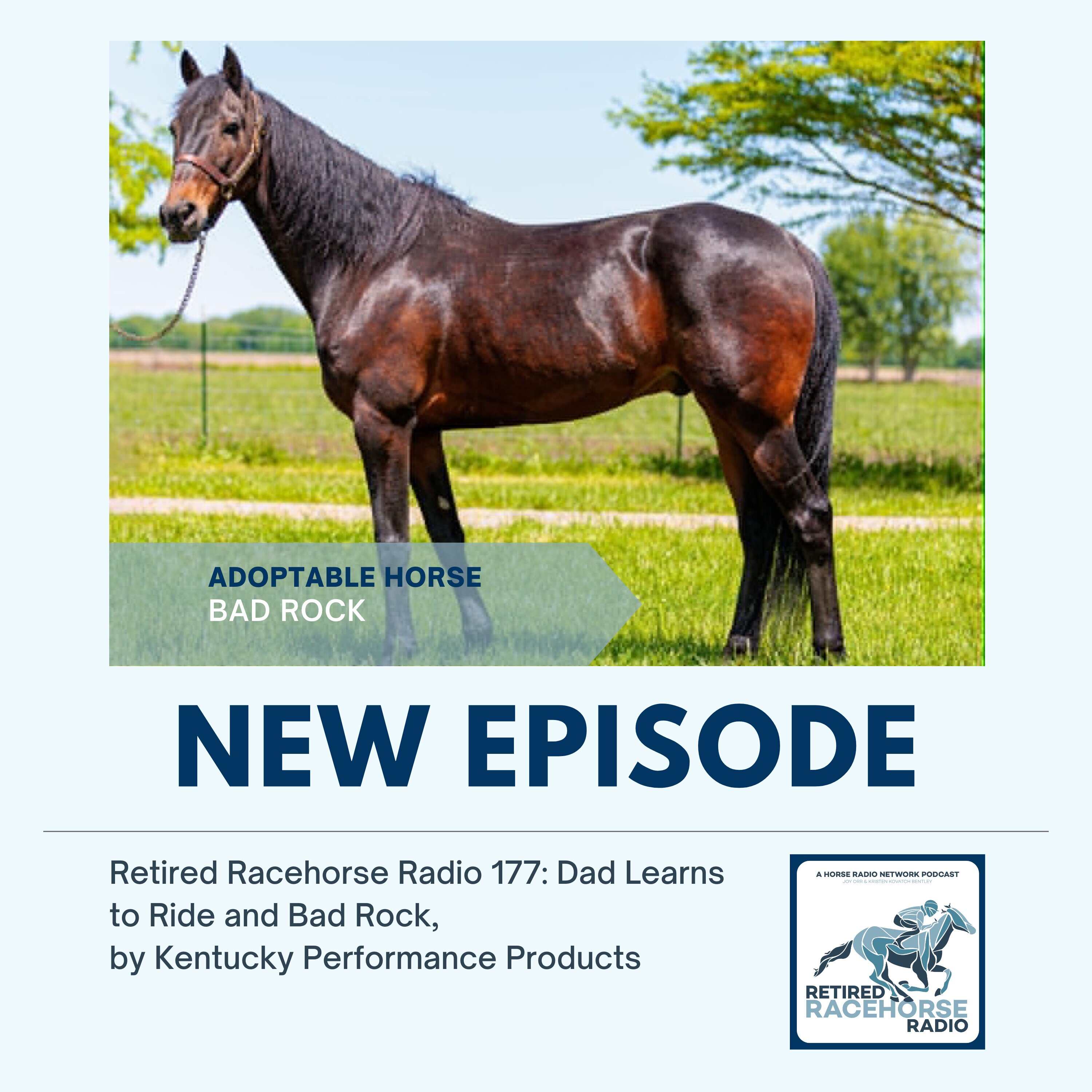 Dad Learns to Ride and Bad Rock by Kentucky Performance Products - Retired Racehorse Radio episode artwork