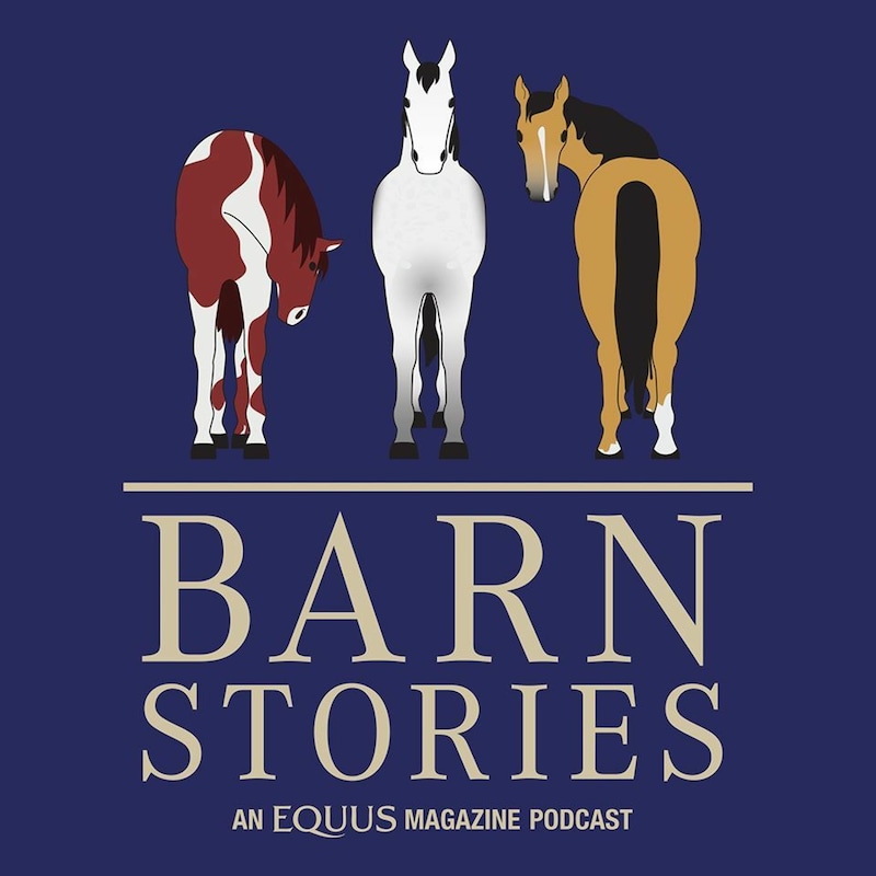 Artwork for podcast Equus Barn Stories