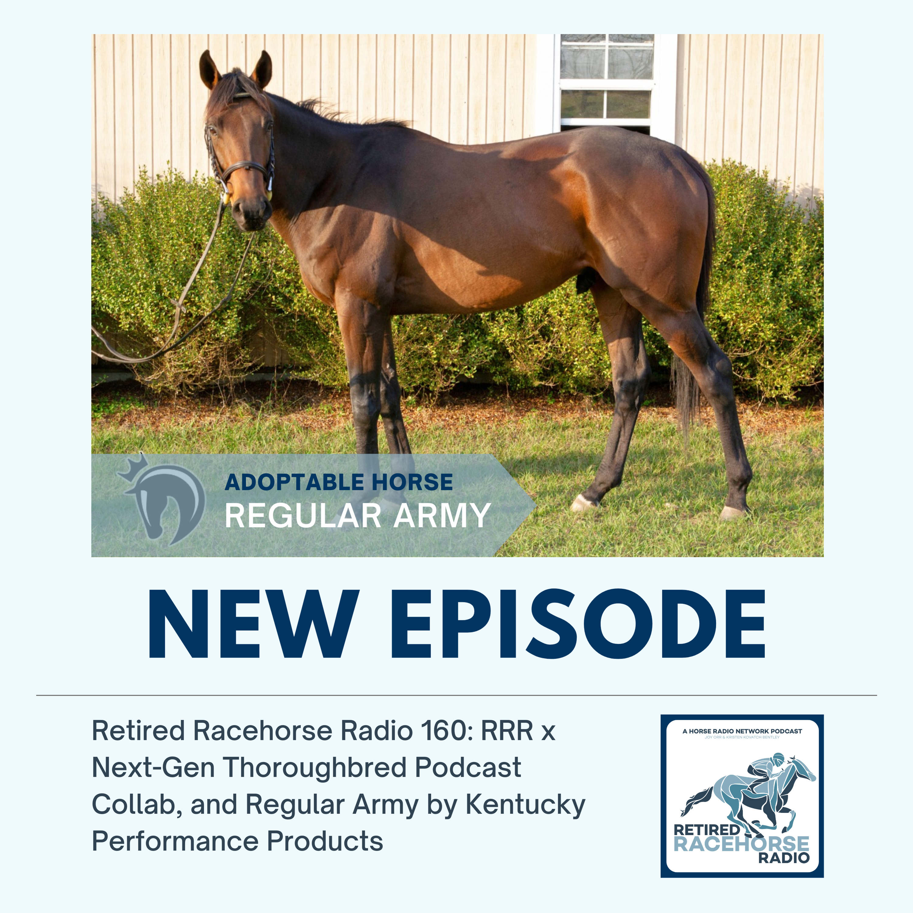 RRR x Next-Gen Thoroughbred Podcast Collab, and Regular Army by Kentucky Performance Products - Retired Racehorse Radio